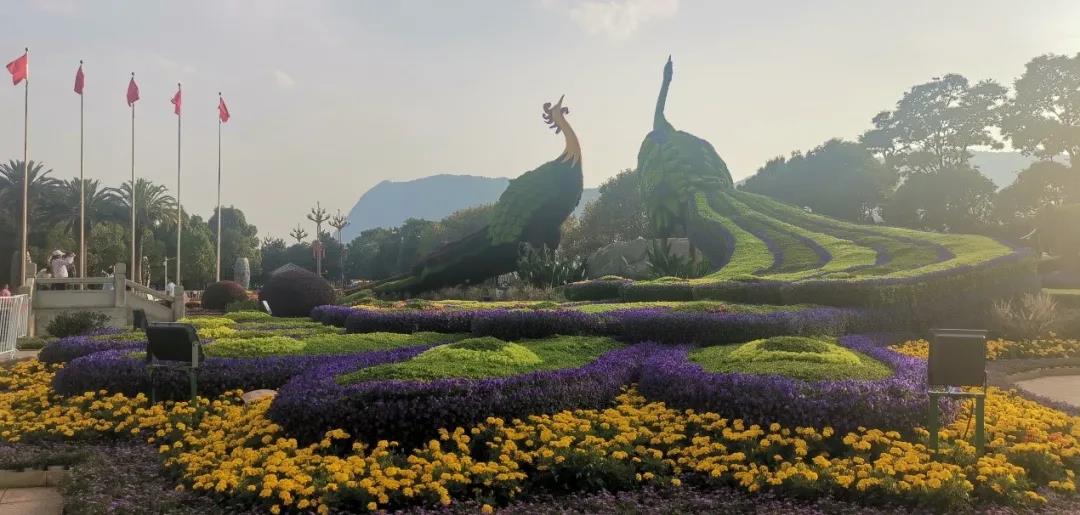 1633939496723359.jpg 微信图片_20211011150927.jpg